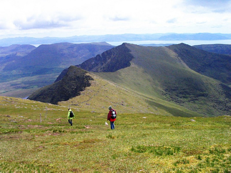 the way bach (South)